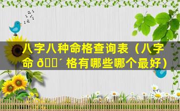 八字八种命格查询表（八字命 🌴 格有哪些哪个最好）